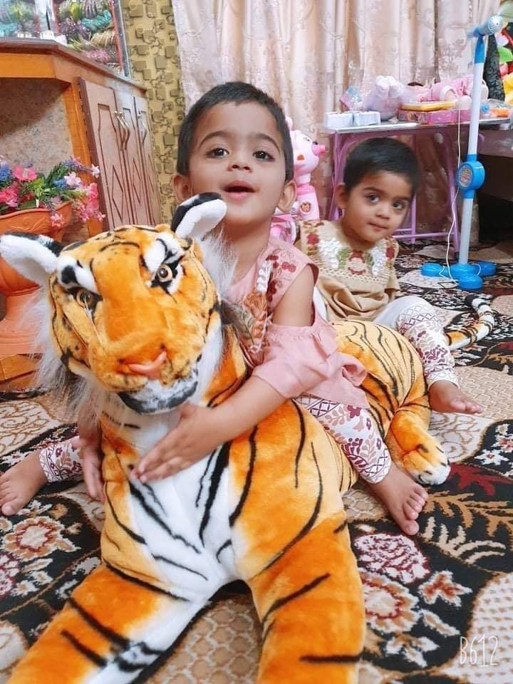 Tiger Plush Stuffed Toy