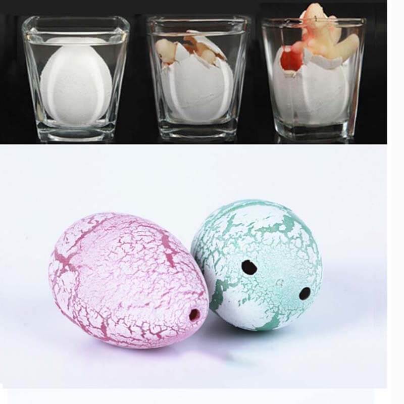 Hatching Dinosaur Egg Toy