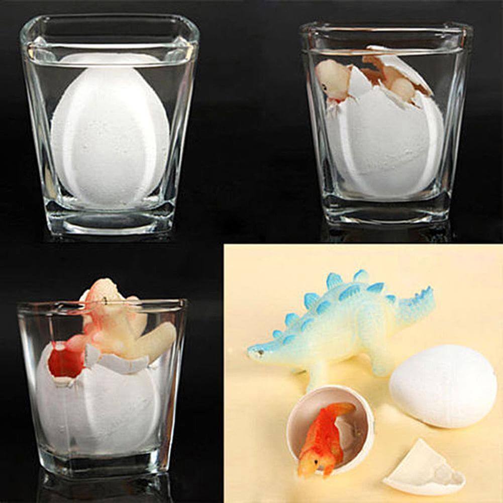 Hatching Dinosaur Egg Toy