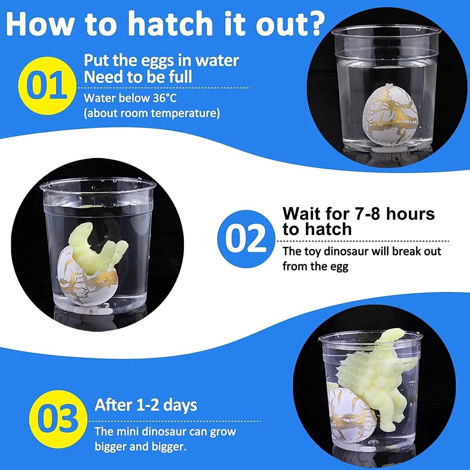 Hatching Dinosaur Egg Toy
