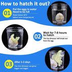 Hatching Dinosaur Egg Toy