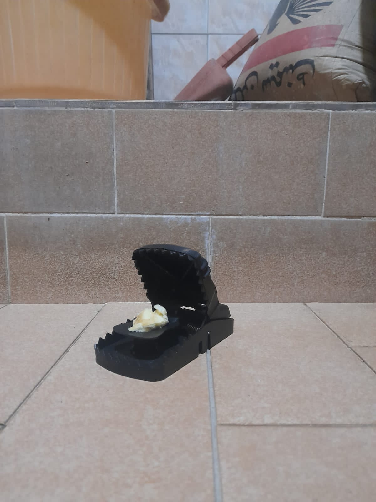 Reusable Plastic Mouse Trap