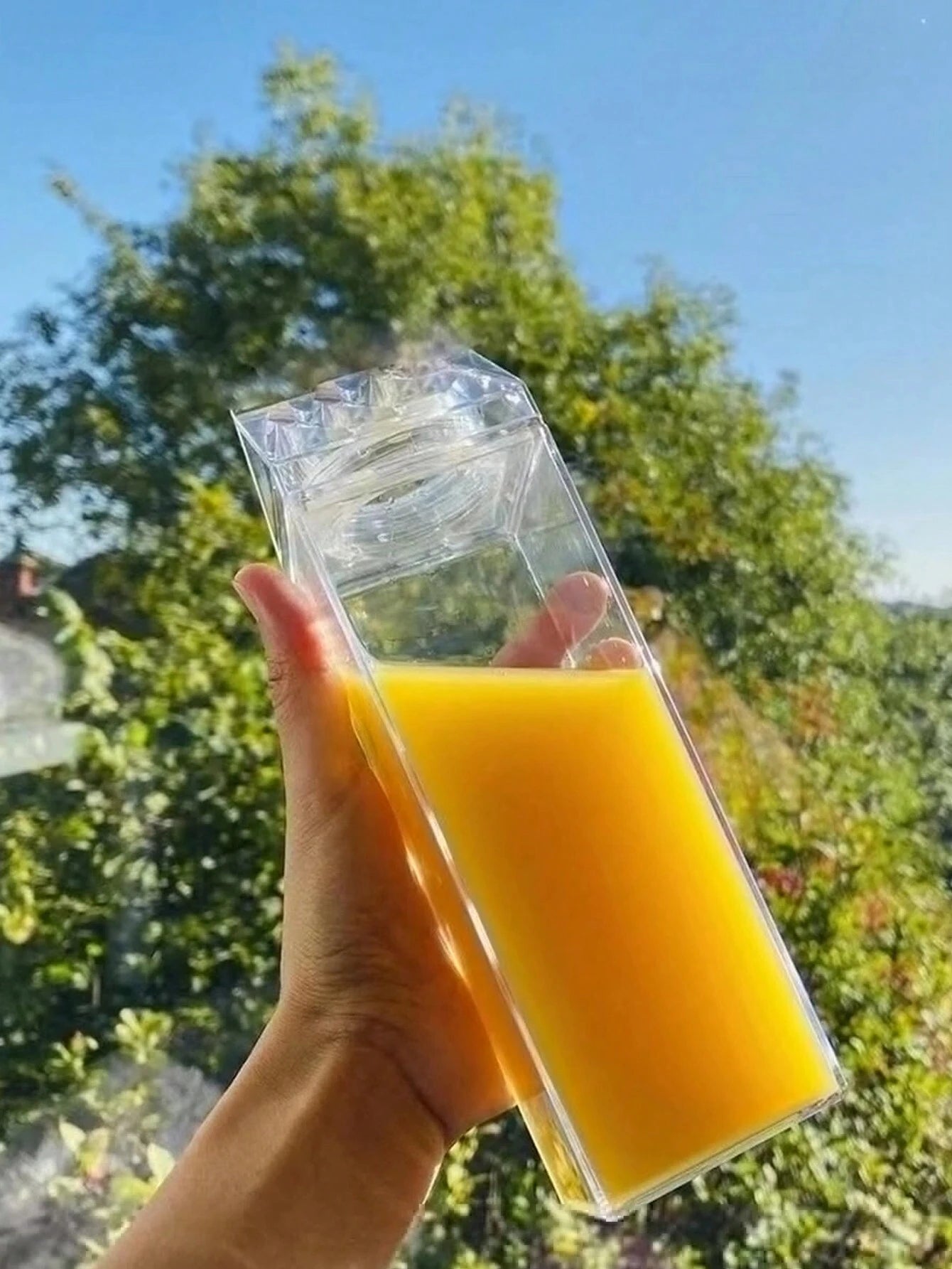 Transparent Water Bottle