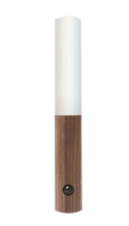 Smart Light Stick