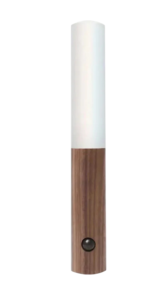 Smart Light Stick